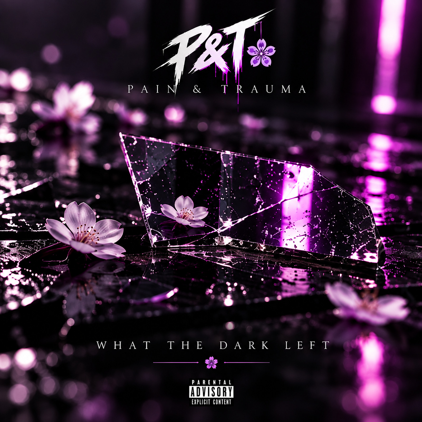 WHAT THE DARK LEFT album cover